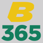 best pix 365 logo